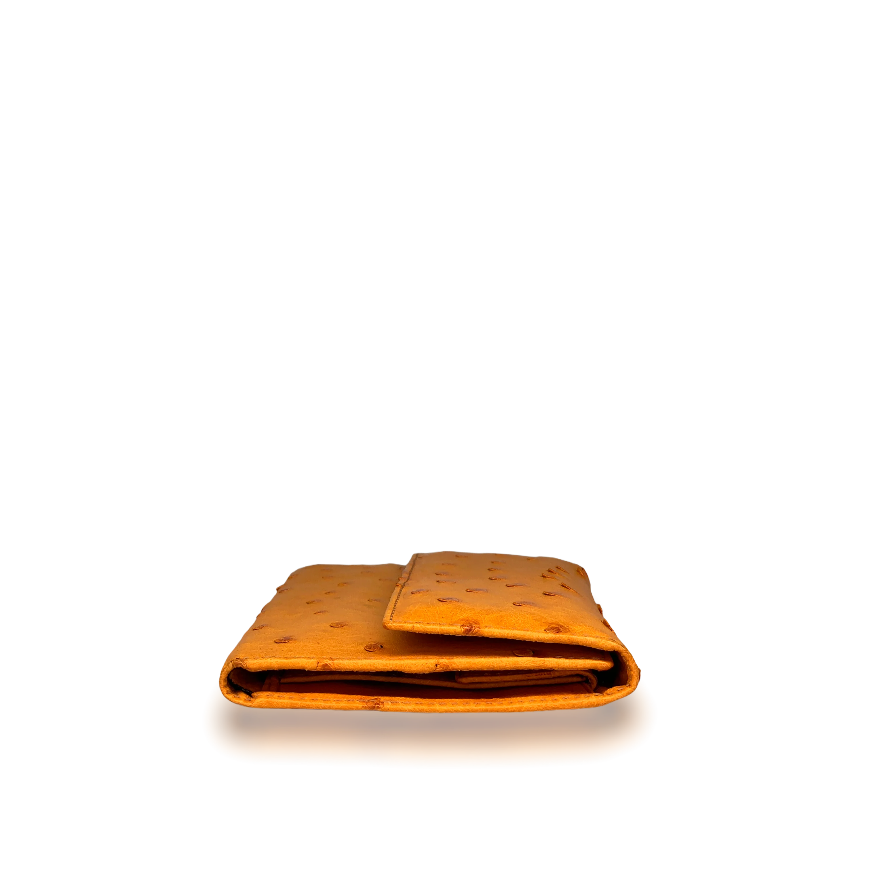 Portafoglio Orange in struzzo - arancione - Image 6